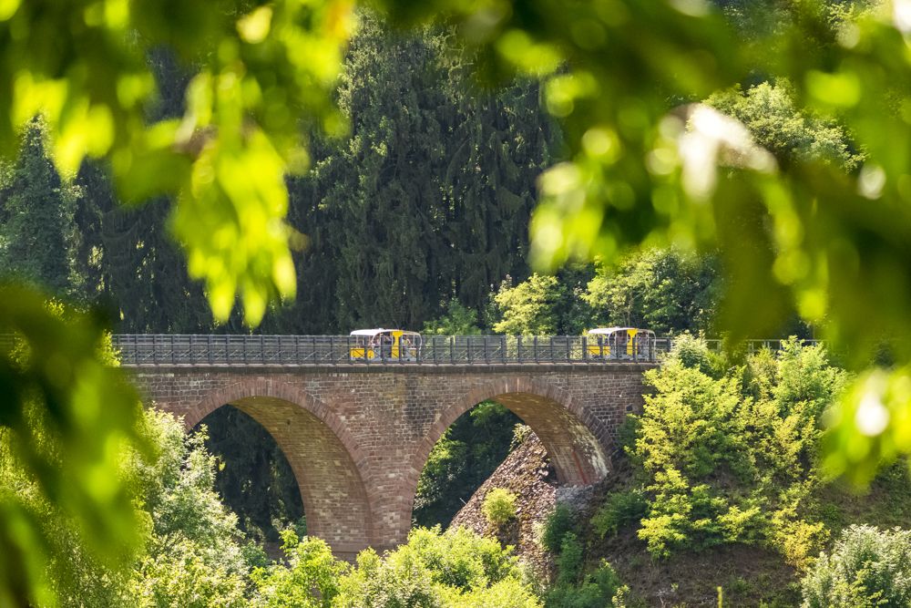 Draisine auf dem Viadukt in Kreidach