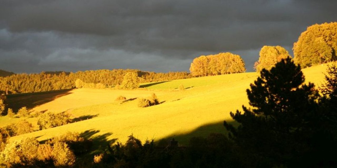 Blick in die Natur